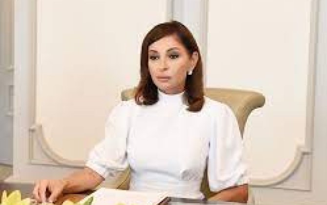 Masallı rayon Tüklə kənd sakinləri Mehriban Əliyevaya müraciət edib