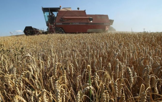 Ukraynada hər 5 nəfərdən biri ac qalmalı olur -