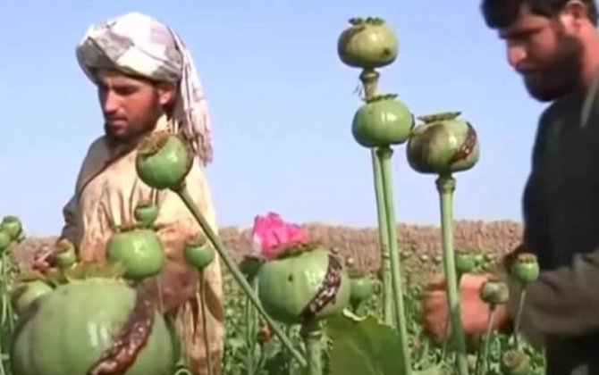 Talibandan daha bir qadağa -