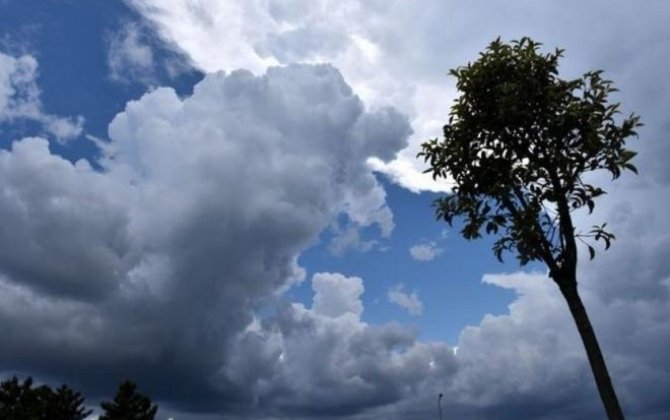 Bazar gününə olan hava proqnozu -