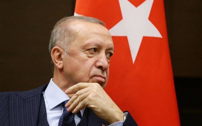 Эрдоган провел переговоры с канцлером Австрии в преддверии его поездки в Москву