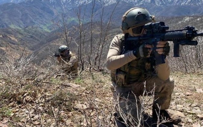 Türkiyə ordusu sutka ərzində 50 terrorçunu məhv etdi