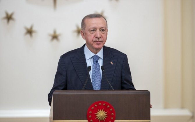 Эрдоган заявил, что власти стремятся уберечь Турцию от последствий событий в Украине
