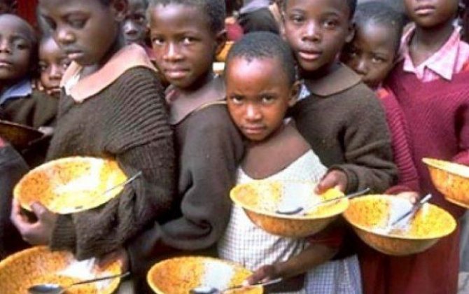 Постпред Египта в ООН заявил о надвигающемся голоде в Африке