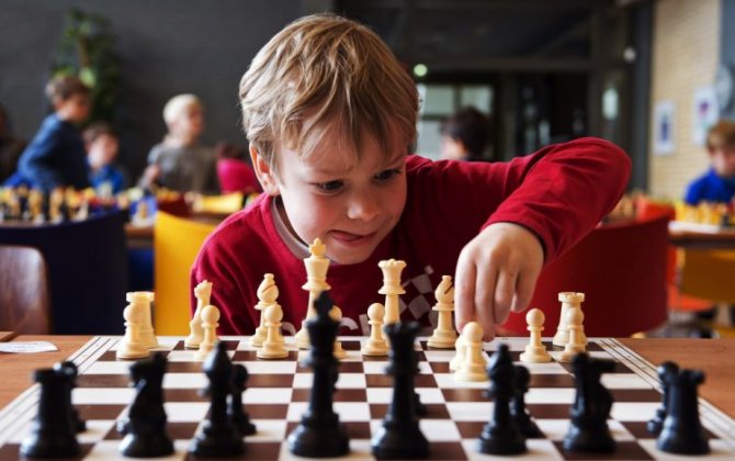 В грузинских школах в обязательном порядке будут изучать искусство игры в шахматы
