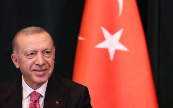 Эрдоган переговорит с Зеленским и Путиным