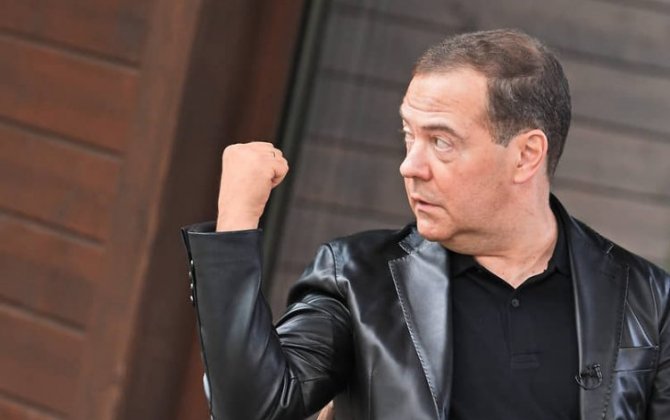 Экс-советник Меркель назвал Медведева «клоуном»