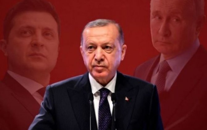Эрдоган проведет телефонные переговоры с Путиным и Зеленским