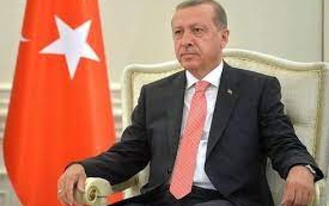 Эрдоган намерен за 10 дней решить с Зеленским и Путиным проблему с зерном