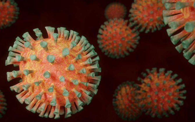 Amerika alimləri xəritədə koronavirus pandemiyasının başladığı nöqtəni göstərdilər...