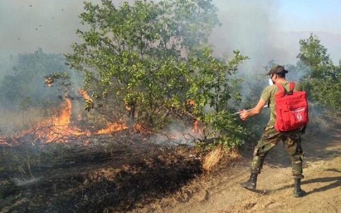 Masallıda dağlıq ərazidə baş vermiş yanğın söndürülüb