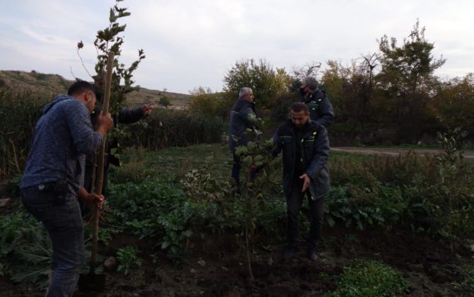 Vətən müharibəsindən sonrakı mübarizə, yaxud Azərbaycandan dünyanı dəyişdirəcək “yaşıl strategiya”