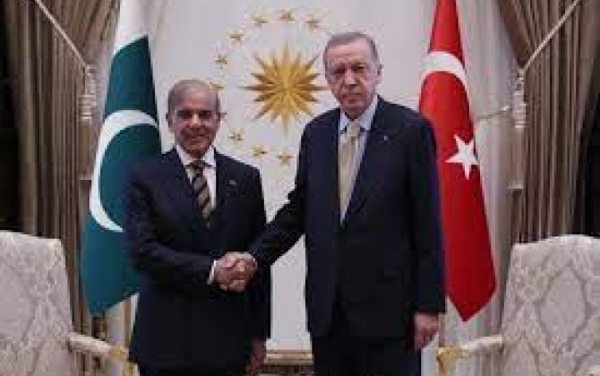 Лидеры Турции и Пакистана провели телефонный разговор