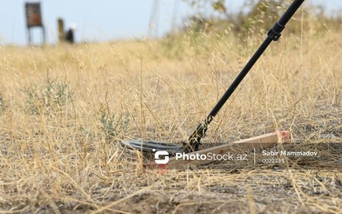 Ermənistanın mina terroru: Qeyri-insani addım və sülhə maneə - RƏY + FOTO