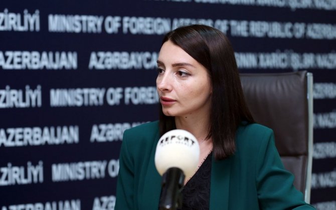 Leyla Abdullayeva Azərbaycanın Fransadakı səfiri vəzifəsinə təyin edildi