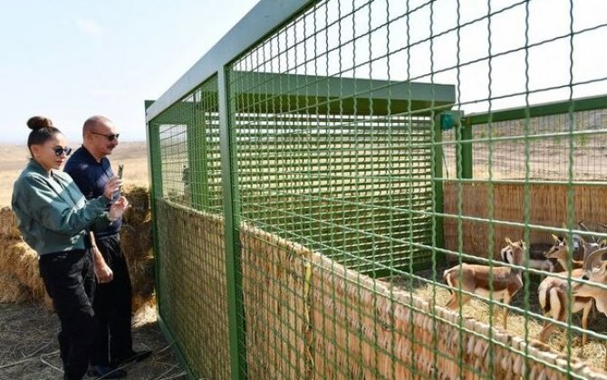 “Bu gün ceyranların öz tarixi areallarına qaytarılması üçün əlimizə tarixi fürsət keçib” - RƏY + FOTO