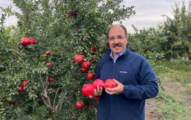 Türkiyəli diplomat Azərbaycan narından yazdı - FOTO