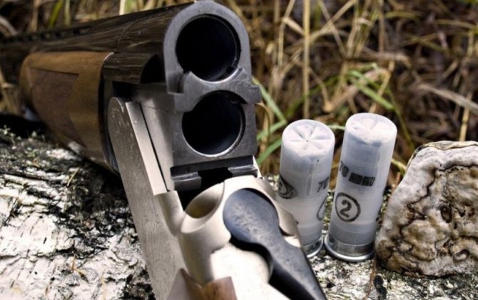 Göygöl sakinlərində narkotik və silah aşkar edilib