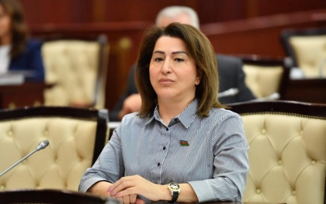 Deputat: “Uşaqların yaşına uyğun formada cinsi tərbiyə artırılmalıdır”