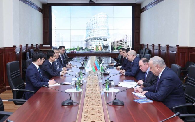 DGK və Ümumdünya Gömrük Təşkilatı arasında əməkdaşlığın perspektivləri müzakirə edilib - FOTO