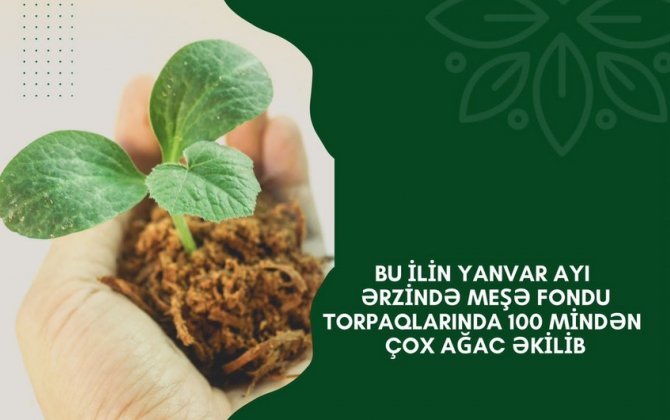 Meşə fondu torpaqlarında 100 mindən çox ağac əkilib