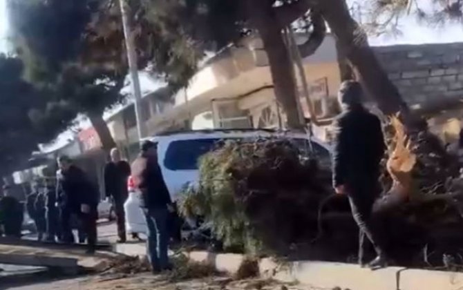 Yüksək sürətlə hərəkətdə olan “Prado” ağaclığa çırpıldı - VİDEO