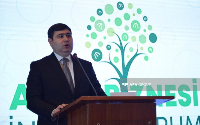 Baş direktor: Mərkəzi Bankda bir sıra sənədlər üzərində iş aparılır