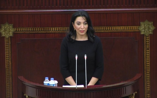 Səbinə Əliyeva: “İctimai nəzarət institutu gücləndirilməlidir”