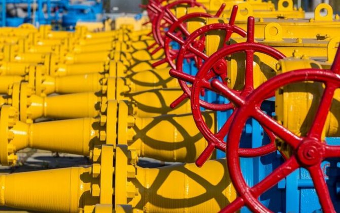 Avropada qazın qiyməti 500 dollardan aşağı səviyyədə qərarlaşıb