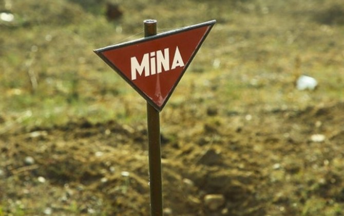 Azad edilmiş ərazilərdə daha 609 mina aşkarlanıb - FOTO
