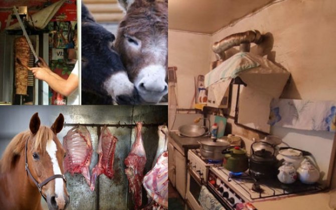 Əhalinin at, eşşək XOFU: Ölən heyvanların cəsədləri utilizasiya edilir, yoxsa bizə yedirdilir? - AÇIQLAMA