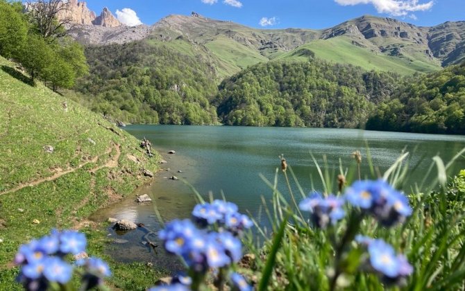 Ötən il Göygöl Milli Parkını 200 mindən çox turist ziyarət edib - FOTO