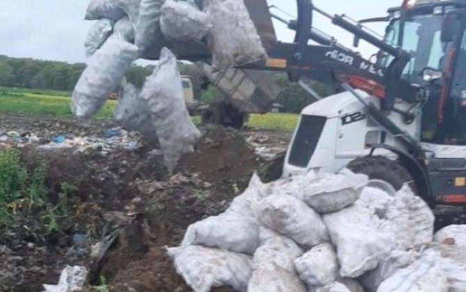 İrandan Azərbaycana gətirilən tonlarla kartof məhv edilib - FOTO