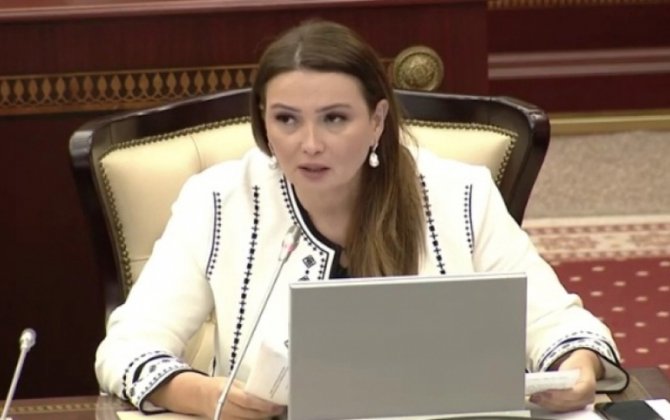 Qənirə Paşayeva parlamentdə vacib mövzulara toxunub - VİDEO