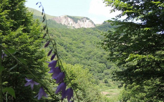 Döyüşçülərimizi görüncə Buzluğun buzlaşmış bənizinin buzu əridi, kəndin qırışığı açıldı...