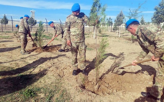 Azərbaycan Ordusunda keçirilən ağacəkmə aksiyaları davam edir