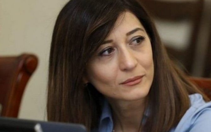 Erməni deputat: “Bayraq yandıranlar və onlarla fəxr edənlərə görə illərlə geri düşmüşük”