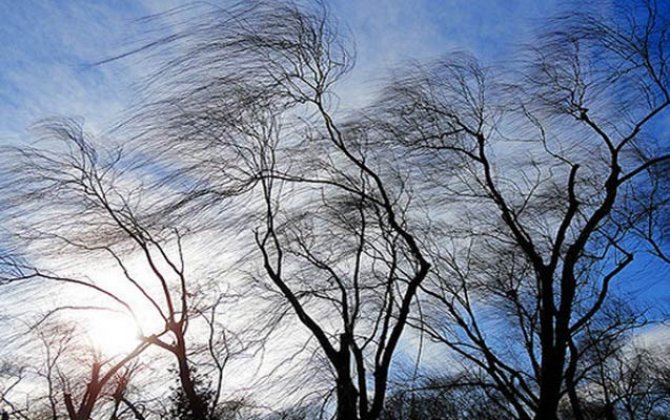 Güclü külək bəzi meteohəssas insanlar üçün əlverişsiz olacaq