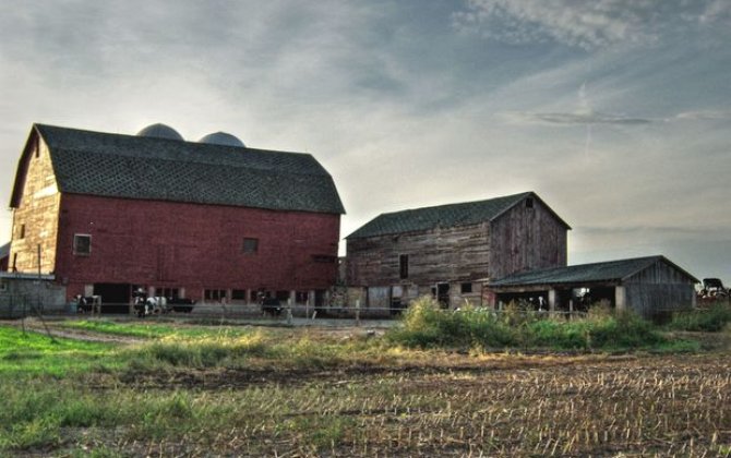 Ukraynada azərbaycanlının fermasına hücum: Oğlu yaralandı - VİDEO