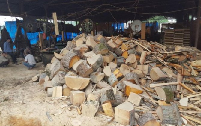 Qusardaxa0qanunsuz fəaliyyət göstərən taxta sexləri aşkarlanıb