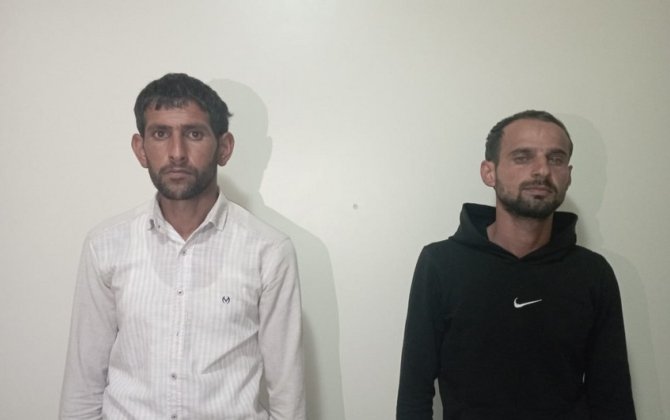 Şirvanda narkotik tərkibli bitkilərin kultivasiyası ilə məşğul olan iki nəfər saxlanılıb