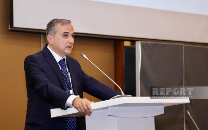 Fərid Şəfiyev: “Heydər Əliyevin siyasəti sayəsində Azərbaycan Cənubi Qafqazın lider dövlətinə çevirilib”