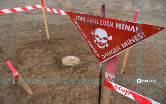 Moldova nəşri: “Minalar Azərbaycan və Ukraynada uşaqları öldürməkdə davam edir”