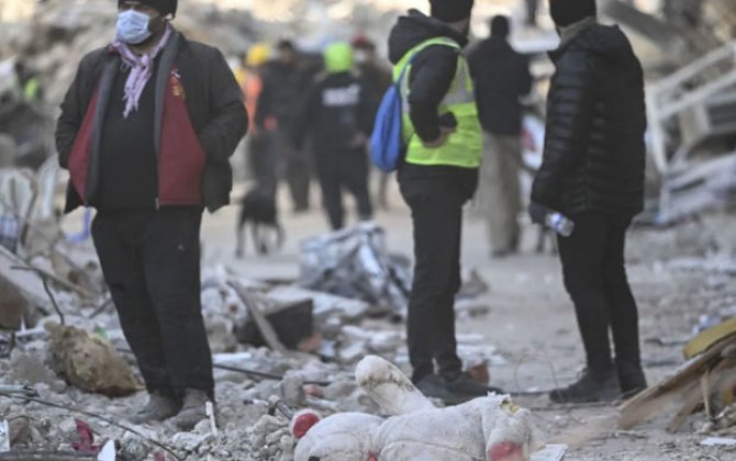 Türkiyədə son üç ay ərzində qeydə alınan zəlzələlər: Dəhşətli statistika