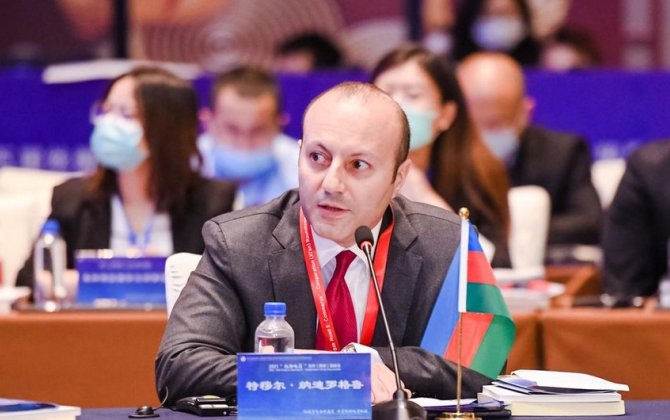 Ticarət nümayəndəsi: 