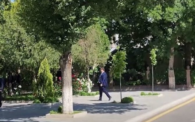 Сеймур Талыбов прибыл в Верховный Меджлис - ВИДЕО