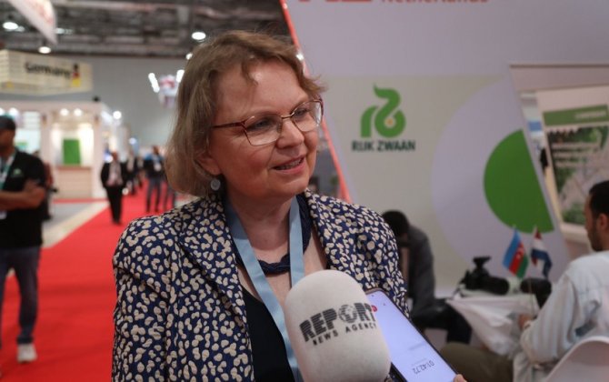 Niderland şirkətlərinin Azərbaycanda maraq göstərdiyi sahələr açıqlandı