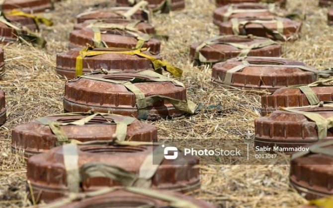 Azad edilmiş ərazilərdə daha 31 mina aşkarlanıb - FOTO
