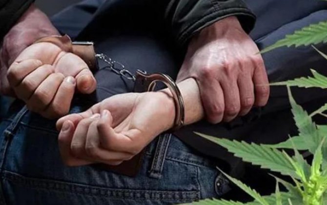 В Сиязанском районе задержаны подозреваемые в незаконном обороте наркотиков - ФОТО/ВИДЕО