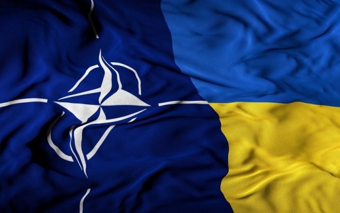 NATO-Ukrayna Şurası yaradılacaq